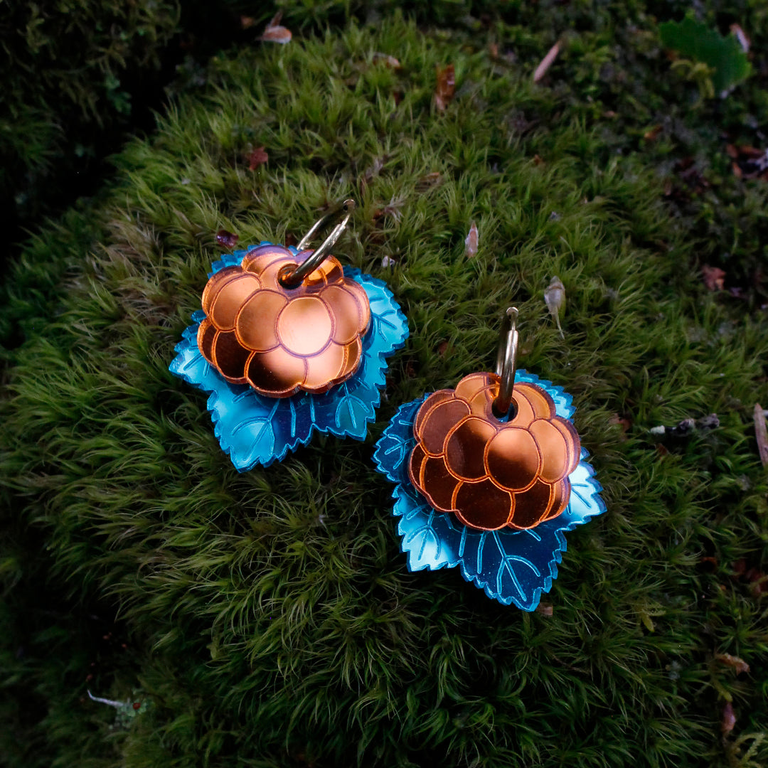 Hillasuolla - korvakorut